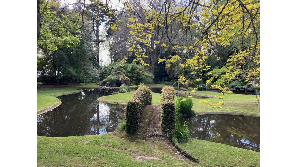 Awapuni Garden Club