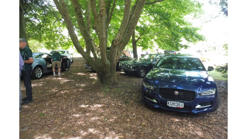 Manawatū Jaguar Club Inc.