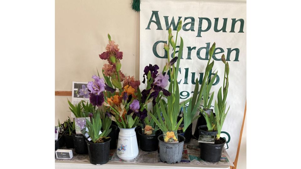 Awapuni Garden Club